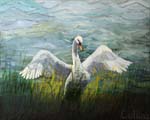014 'Mighty Swan' 16x20 oil on canvas